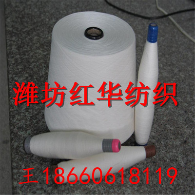 【滌綸阻燃紗30支 大化纖阻燃紗30S 專業(yè)生產(chǎn)阻燃紗線廠家】價格_廠家_圖片 -