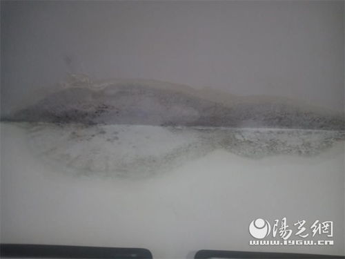 咸陽(yáng)一小區(qū)多棟樓房漏雨
